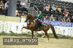 24R13_07956 thumbnail