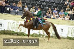 24R13_07958 thumbnail
