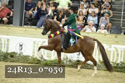 24R13_07959 thumbnail