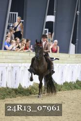 24R13_07961 thumbnail