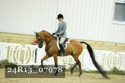 24R13_07978 thumbnail