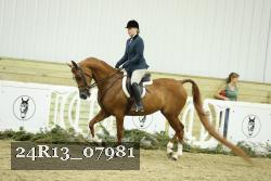 24R13_07981 thumbnail