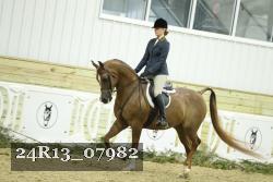 24R13_07982 thumbnail
