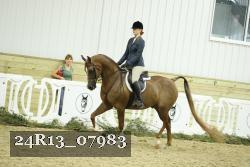 24R13_07983 thumbnail