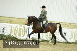 24R13_07991 thumbnail