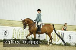 24R13_07993 thumbnail