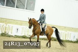 24R13_07995 thumbnail