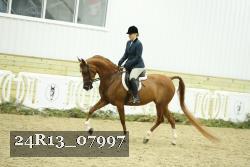 24R13_07997 thumbnail