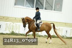 24R13_07998 thumbnail