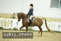 24R13_08000 thumbnail