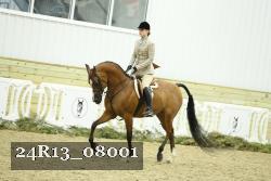 24R13_08001 thumbnail