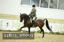 24R13_08003 thumbnail