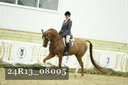 24R13_08005 thumbnail