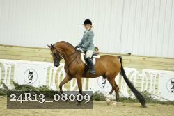 24R13_08009 thumbnail