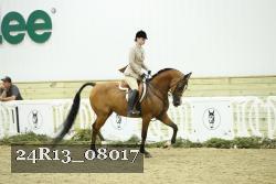 24R13_08017 thumbnail