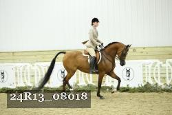 24R13_08018 thumbnail