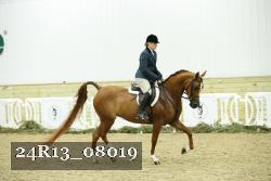 24R13_08019 thumbnail