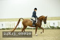 24R13_08020 thumbnail