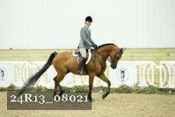 24R13_08021 thumbnail