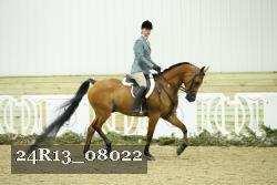 24R13_08022 thumbnail
