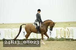 24R13_08023 thumbnail