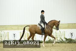 24R13_08024 thumbnail
