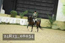 24R13_08054 thumbnail