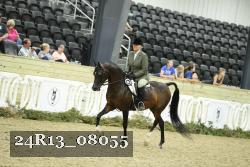 24R13_08055 thumbnail