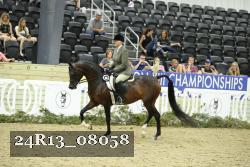 24R13_08058 thumbnail