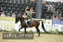 24R13_08059 thumbnail