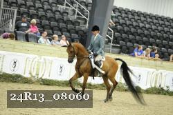 24R13_08060 thumbnail