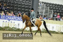 24R13_08061 thumbnail
