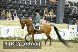24R13_08064 thumbnail