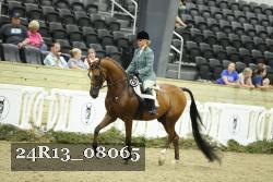 24R13_08065 thumbnail