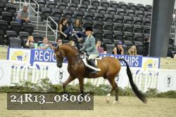 24R13_08066 thumbnail