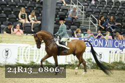 24R13_08067 thumbnail