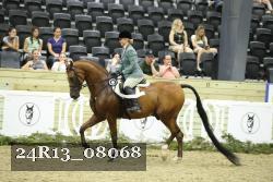 24R13_08068 thumbnail