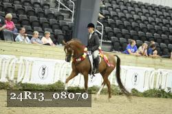 24R13_08070 thumbnail