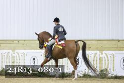 24R13_08071 thumbnail