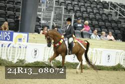 24R13_08072 thumbnail
