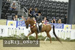 24R13_08073 thumbnail
