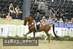 24R13_08074 thumbnail