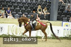 24R13_08075 thumbnail