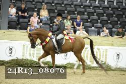 24R13_08076 thumbnail