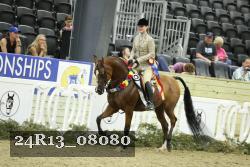 24R13_08080 thumbnail