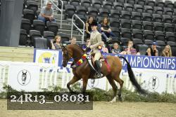 24R13_08081 thumbnail