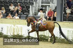 24R13_08086 thumbnail