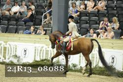 24R13_08088 thumbnail