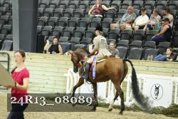 24R13_08089 thumbnail