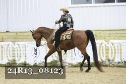 24R13_08123 thumbnail